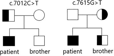 A case report of jejunum transplantation in the treatment of severe cervical esophageal stricture in patients with dystrophic epidermolysis bullosa